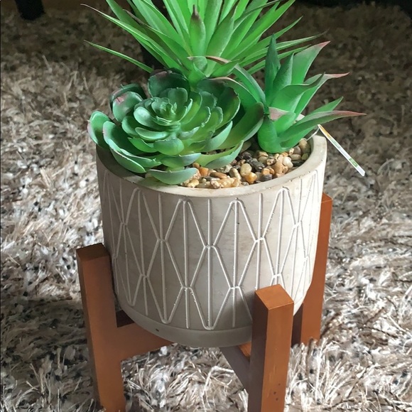 Other - Cement and wood faux succulent planter